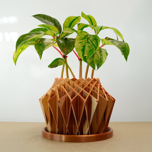Galaxy Groove Plant Pot - variant_color - variant_size - variant_option