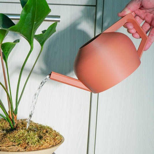 HydraMate Modern Watering Can for Houseplants - variant_color - variant_size - variant_option