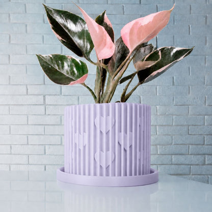 Modern Heart-Shaped Planter with Drainage & Saucer – Unique Valentine’s Day Gift for Plant Lovers, 3d Printed Planter Home Hosting Decor,