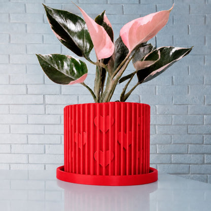 Modern Heart-Shaped Planter with Drainage & Saucer – Unique Valentine’s Day Gift for Plant Lovers, 3d Printed Planter Home Hosting Decor,
