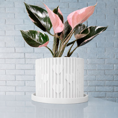 Modern Heart-Shaped Planter with Drainage & Saucer – Unique Valentine’s Day Gift for Plant Lovers, 3d Printed Planter Home Hosting Decor,