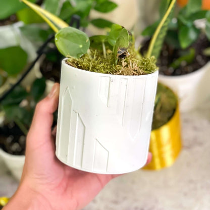 Art Deco Tower Planter - variant_color - variant_size - variant_option