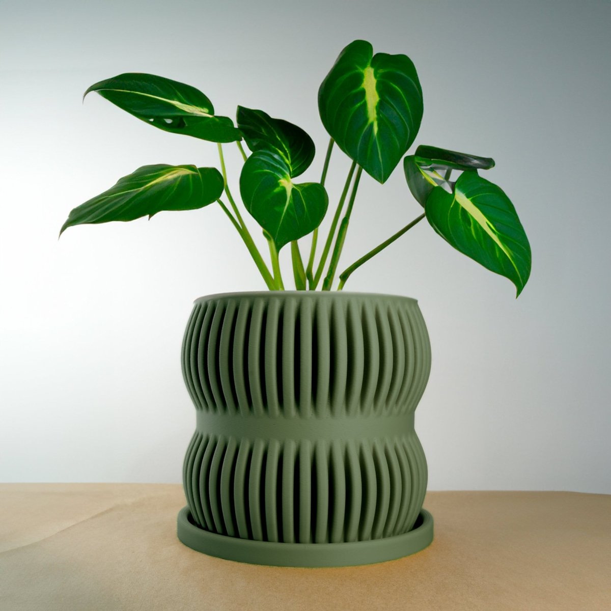 Aureus Planter with Drainage - variant_color - variant_size - variant_option