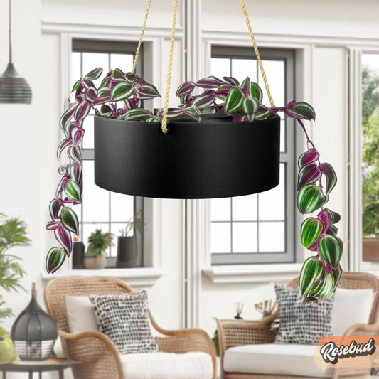 Hanging Chandelier Planter with Drainage - variant_color - variant_size - variant_option