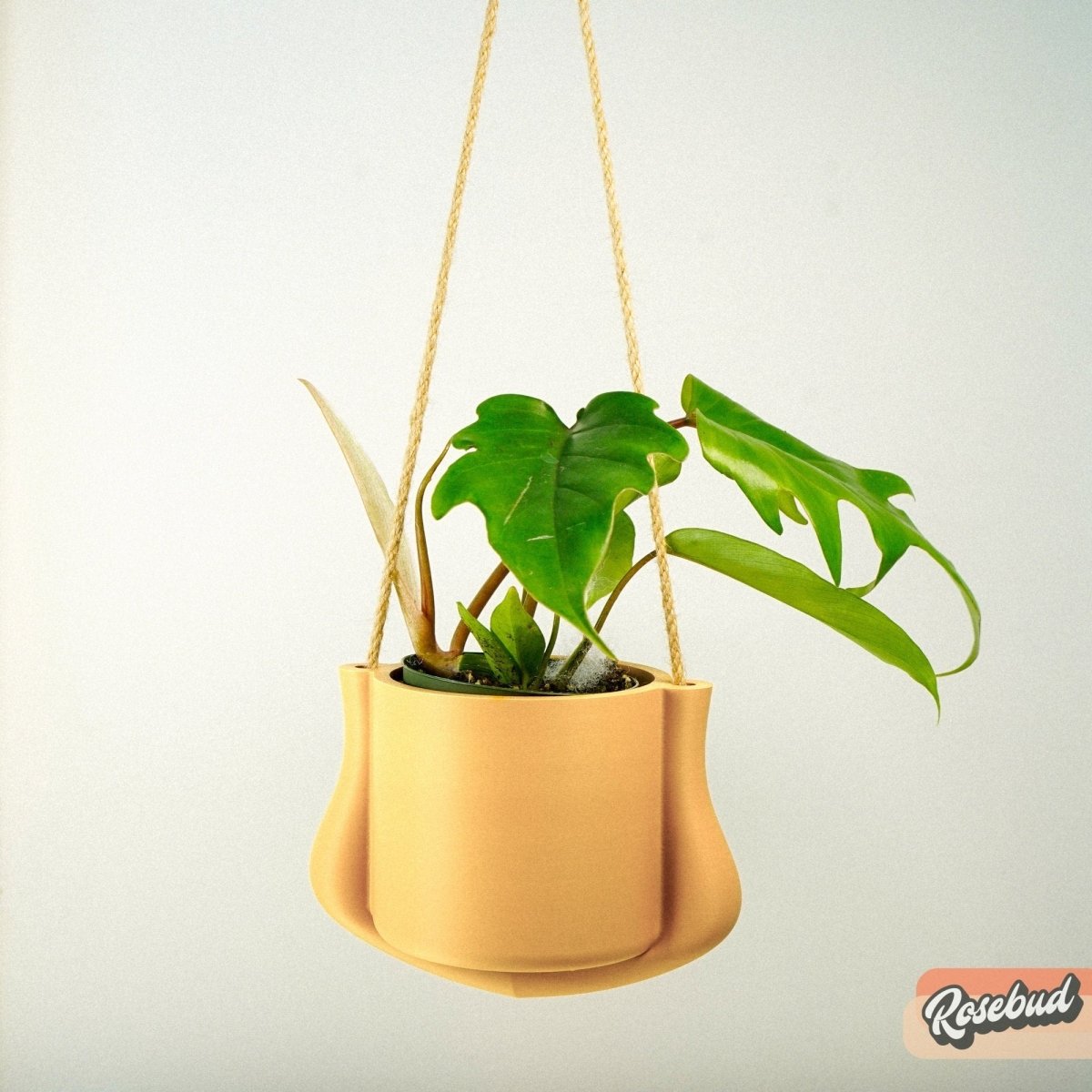 Hanging Planter - The Elysian - variant_color - variant_size - variant_option