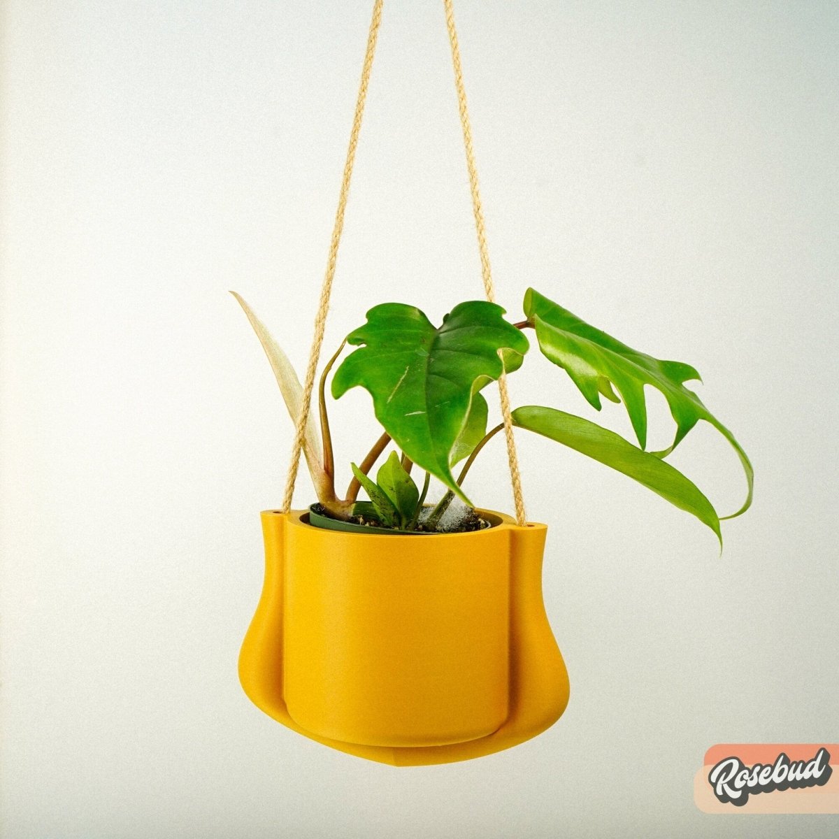Hanging Planter - The Elysian - variant_color - variant_size - variant_option