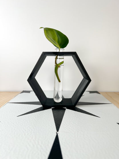 Hexagon Propagation Station