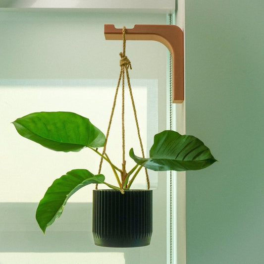 Minimal Modern Hanging Planter Wall Hook - variant_color - variant_size - variant_option
