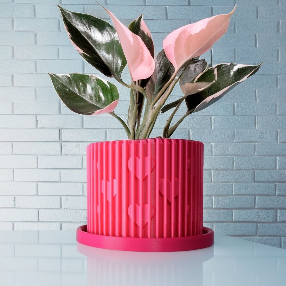 Modern Heart-Shaped Planter with Drainage & Saucer – Unique Valentine’s Day Gift for Plant Lovers, 3d Printed Planter Home Hosting Decor, - variant_color - variant_size - variant_option