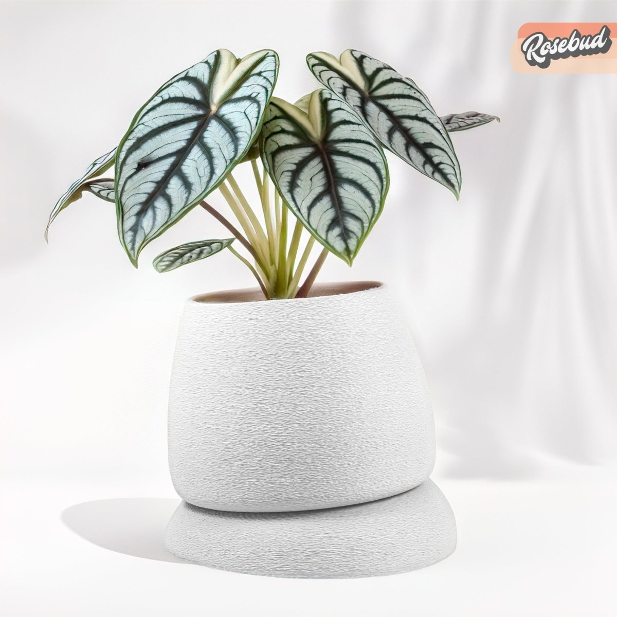 Nubium Planter - variant_color - variant_size - variant_option