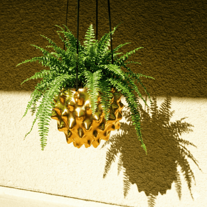 The Creature Orb Hanging Planter Pot With Drainage - variant_color - variant_size - variant_option
