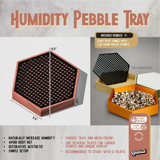 Water Humidity Tray for Houseplants, Includes Pebbles - variant_color - variant_size - variant_option